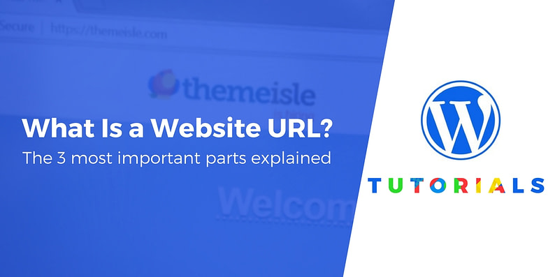 what is a website url