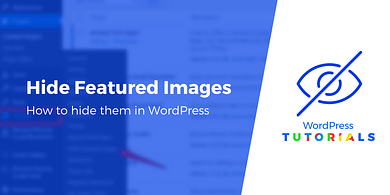 Hide Featured Image WordPress